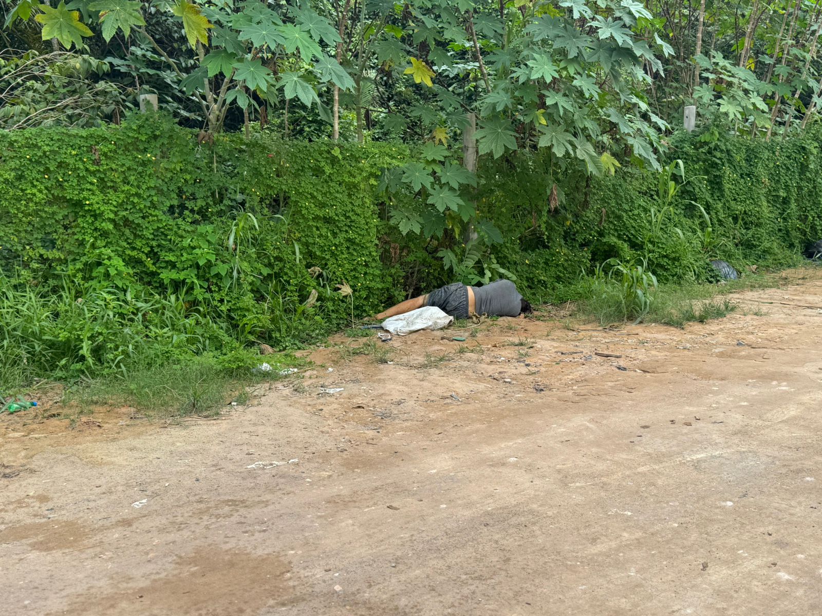 Foto: Neto Silva/ Portal do Holanda