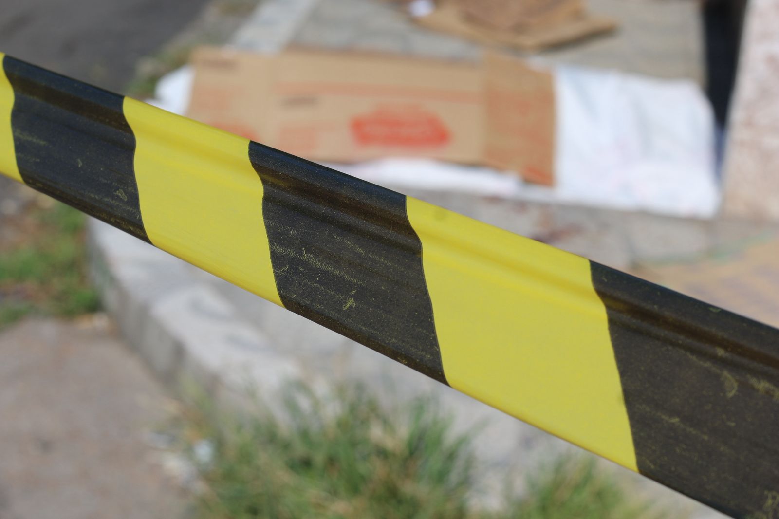 Foto: Jander Robson/ Portal do Holanda