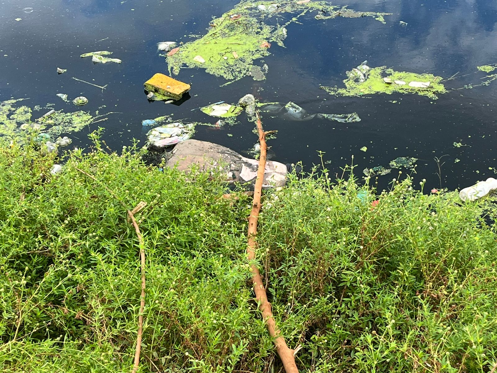 Foto: Jander Robson/Portal do Holanda