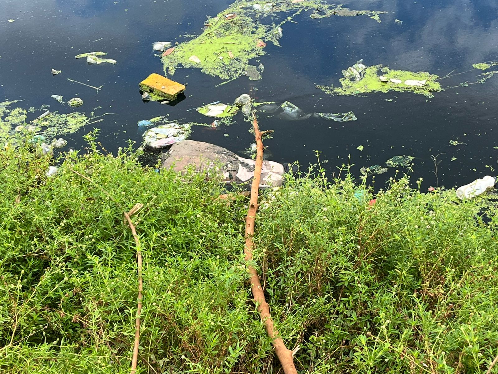 Foto: Jander Robson/Portal do Holanda