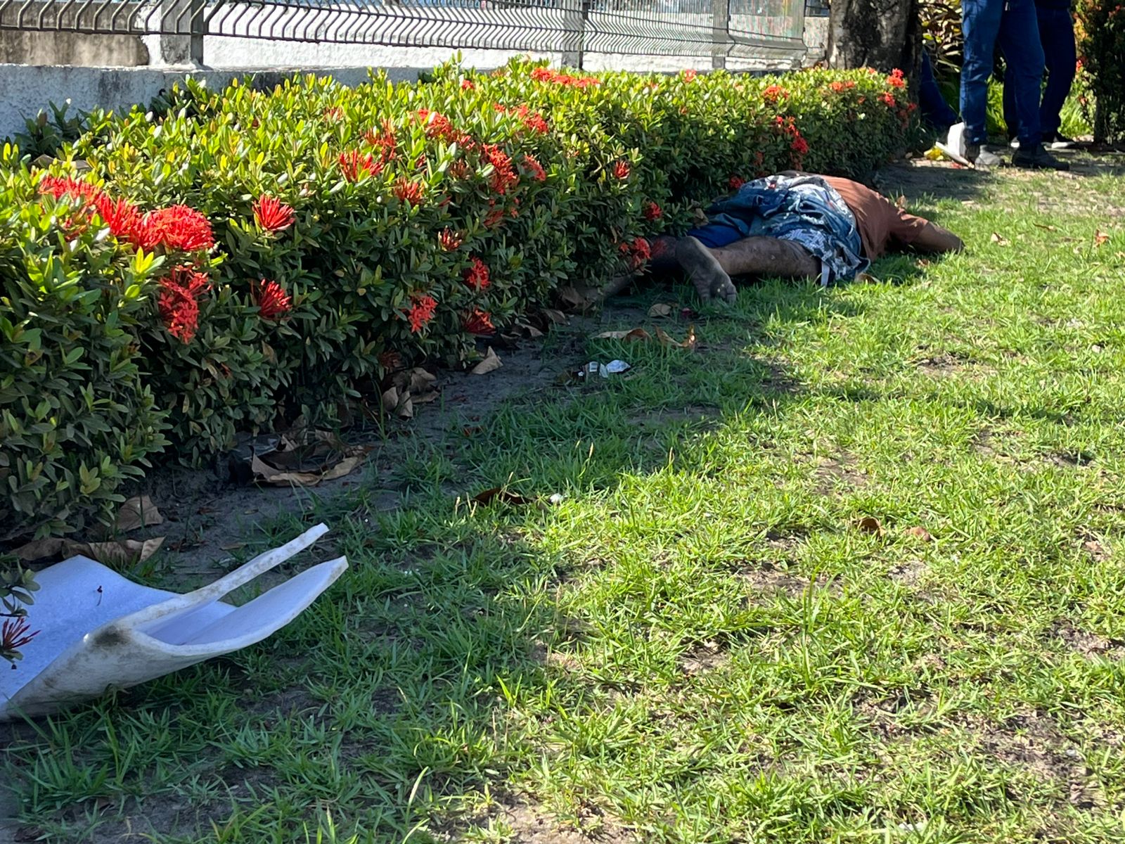 Foto: Jander Robson / Portal do Holanda