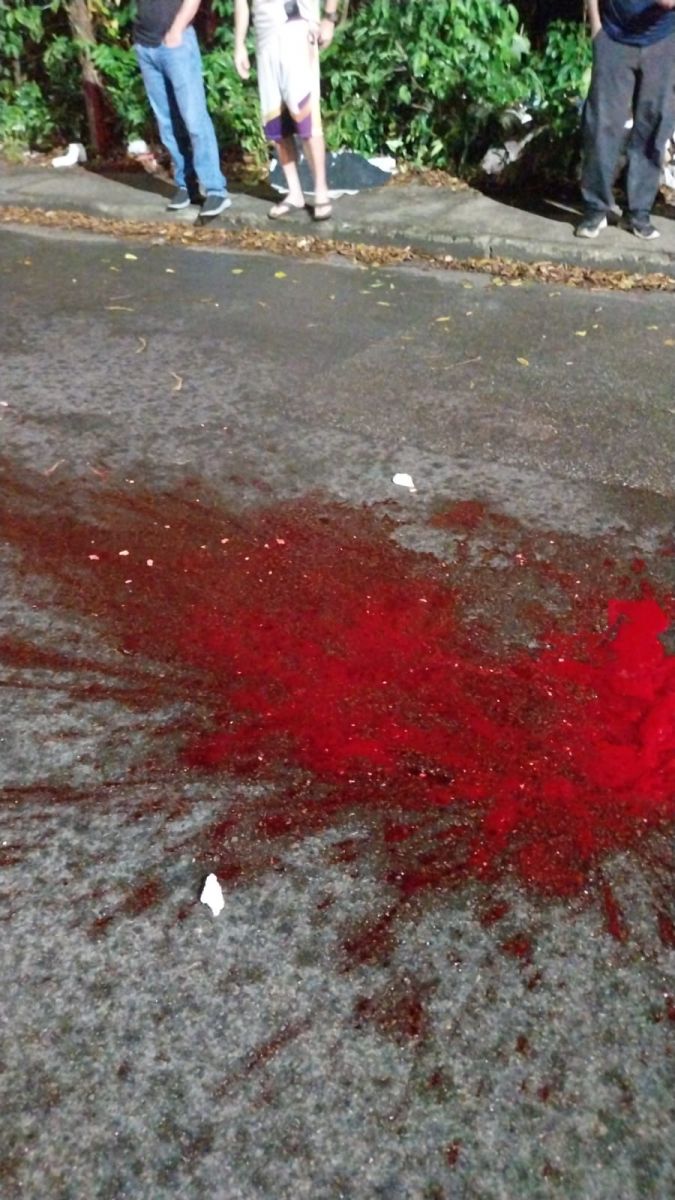 Foto: Divulga&ccedil;&atilde;o