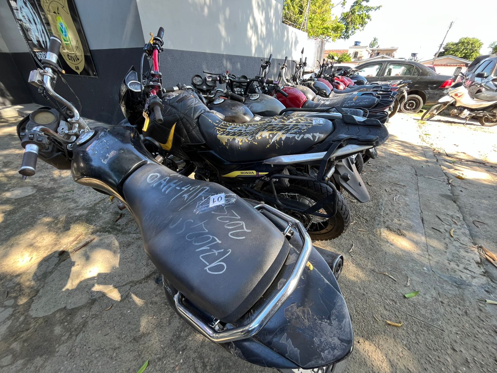 Foto: Jander Robson/Portal do Holanda