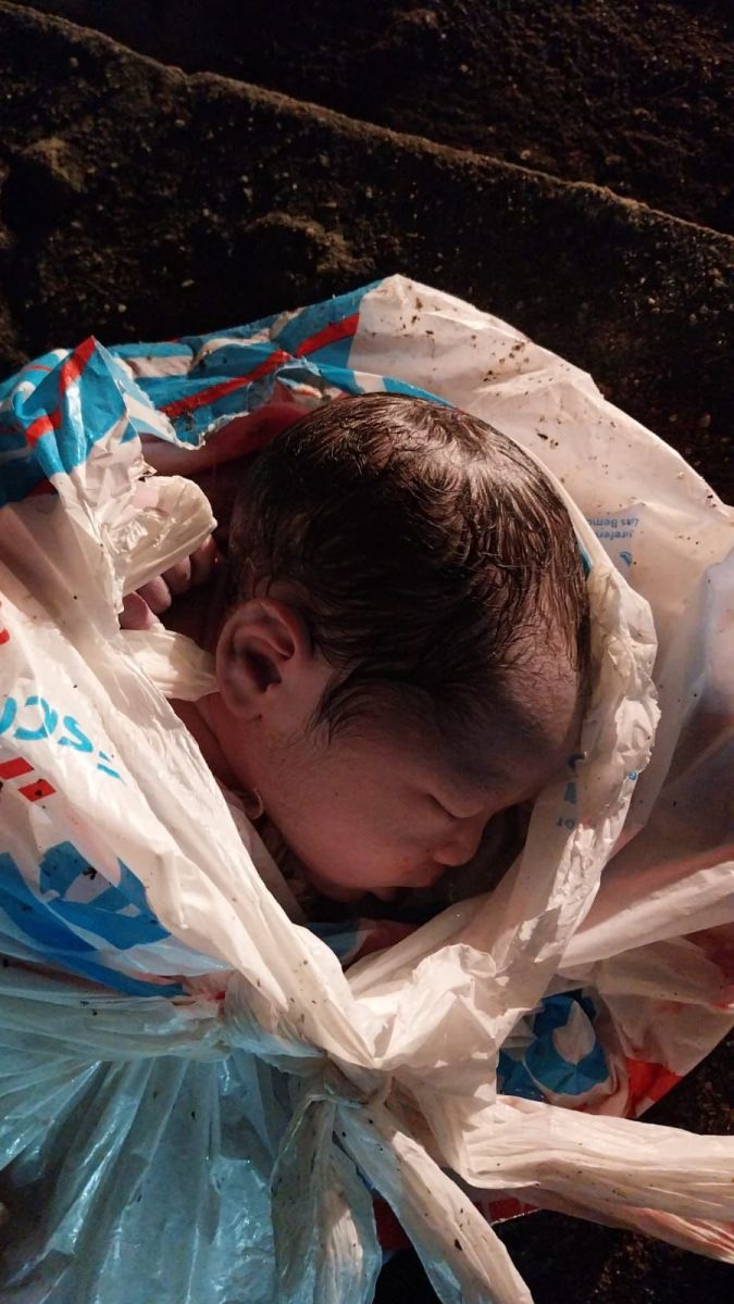 Foto: Divulga&ccedil;&atilde;o 