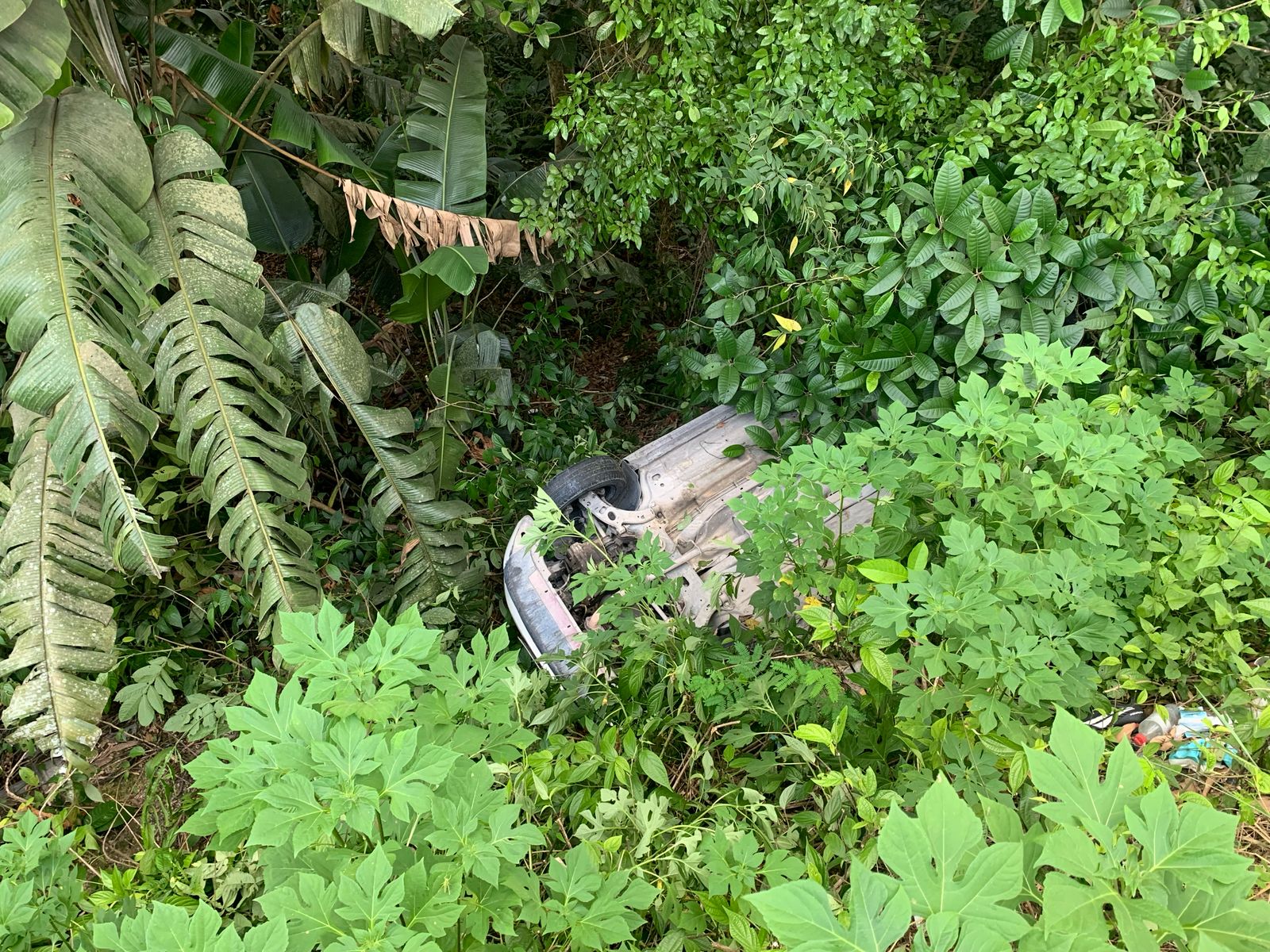  Foto: Caio Guarlotte/ Portal do Holanda