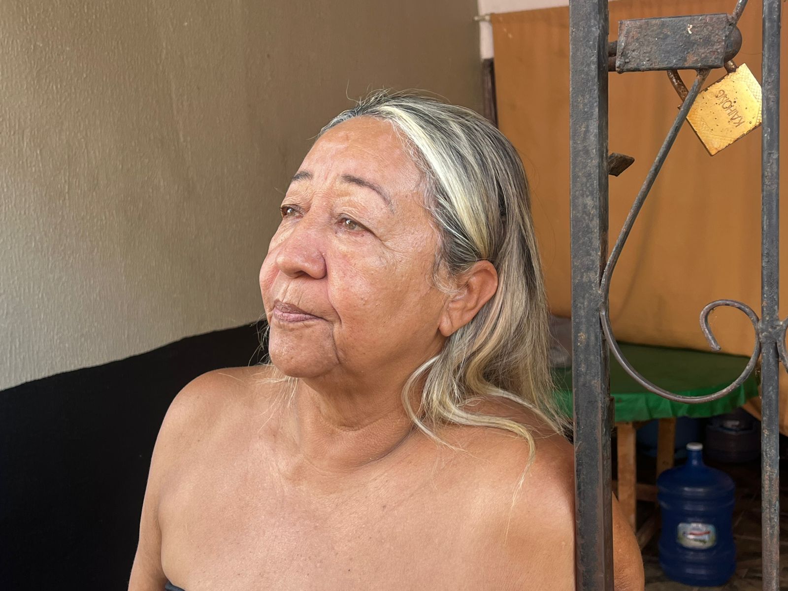 Ver&ocirc;nica, dona da est&acirc;ncia - Foto: Jander Robson/Portal do Holanda