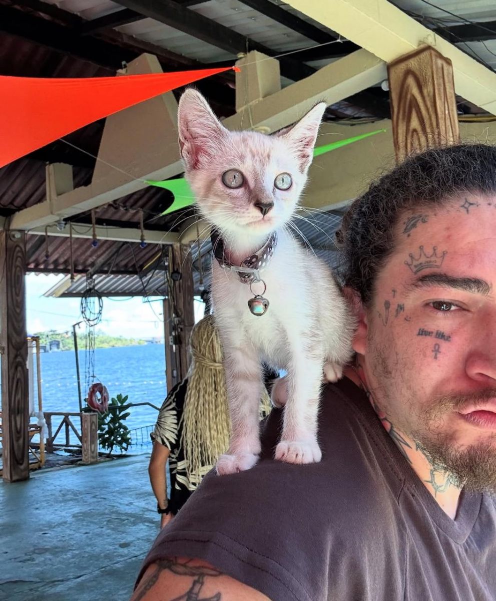 Foto: Reprodu&ccedil;&atilde;o Instagram