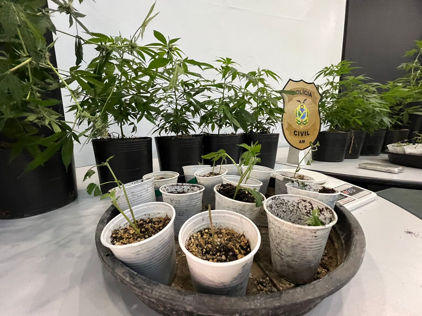 Foto: Jander Robson/ Portal do Holanda