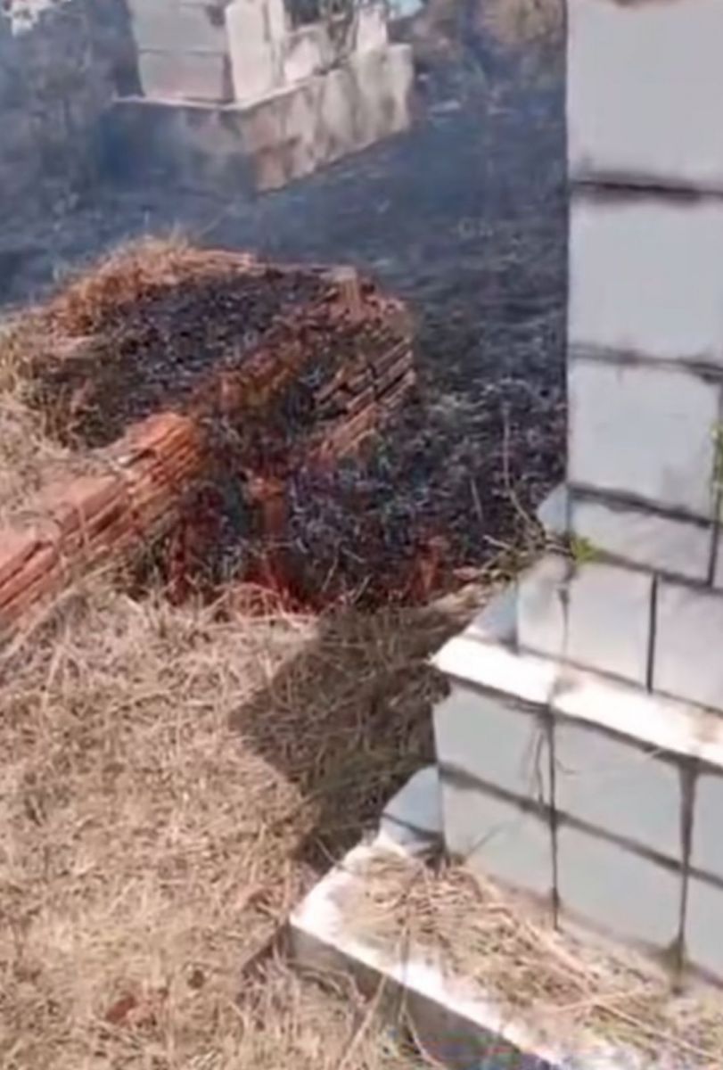 Foto: Divulga&ccedil;&atilde;o