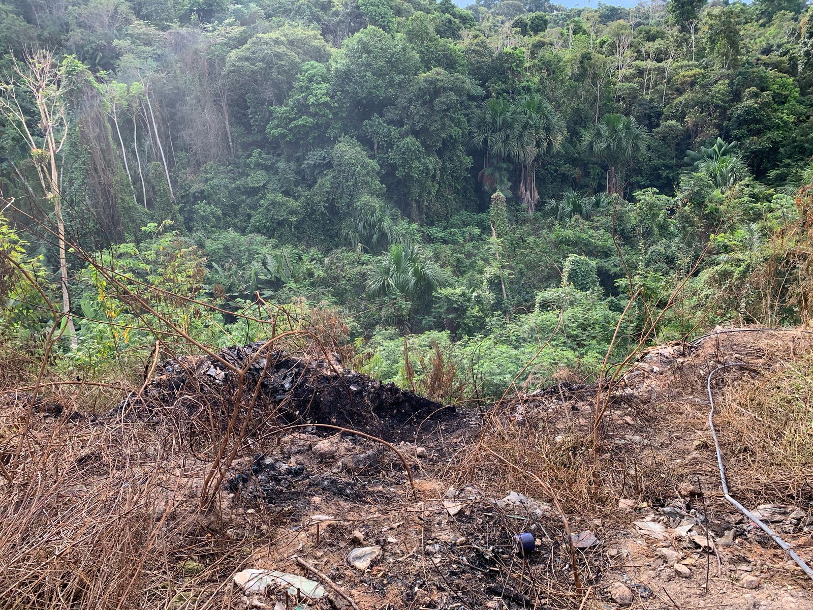 Foto: Caio Guarlotte / Portal do Holanda