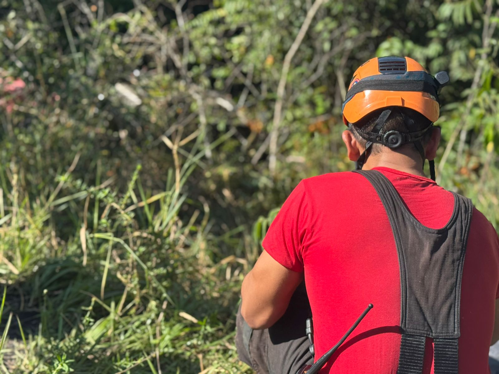 Foto: Neto Silva/Portal do Holanda