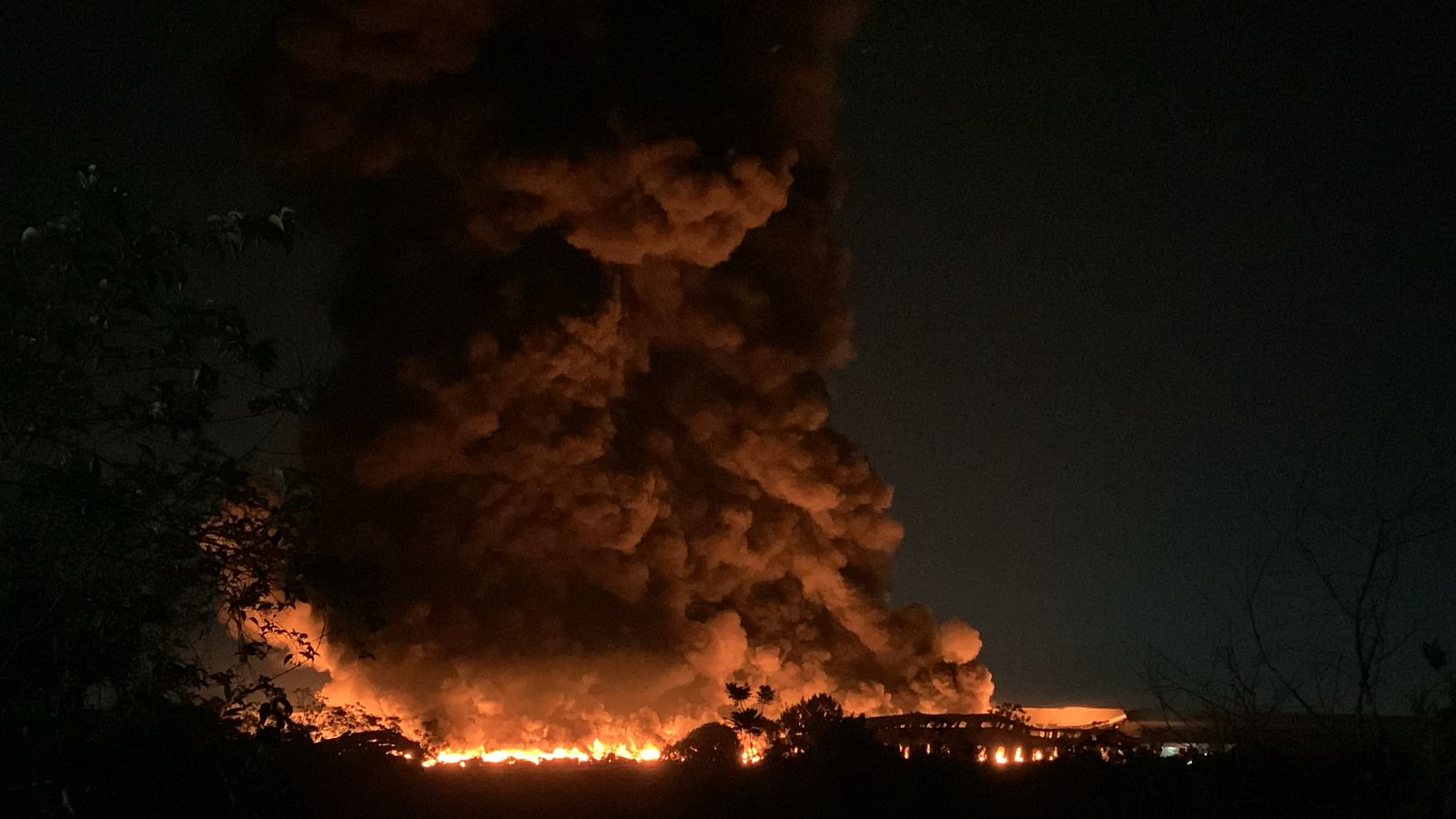 Foto: Caio Guarlotte/Portal do Holanda