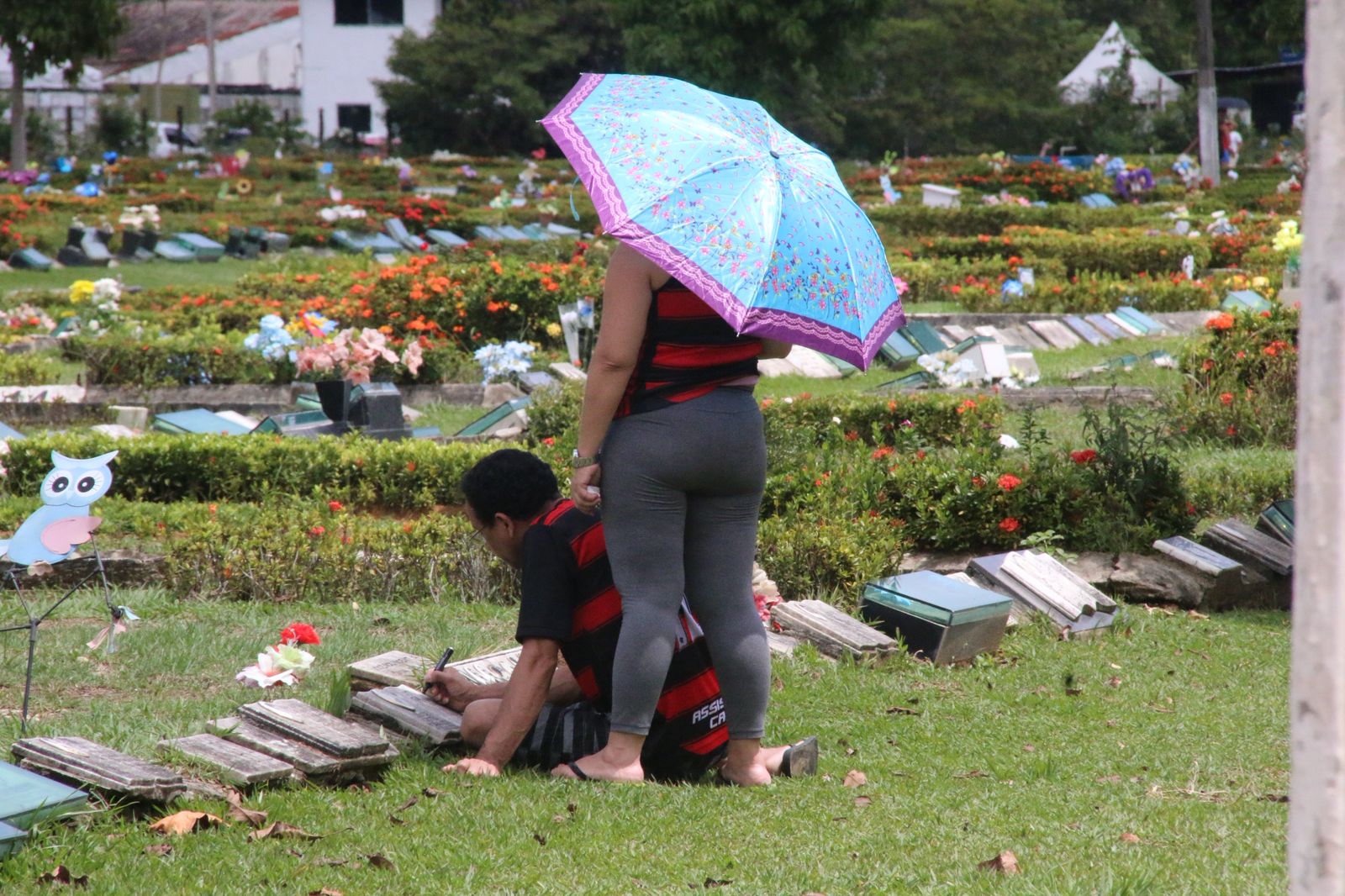 Foto: Jander Robson/Portal do Holanda