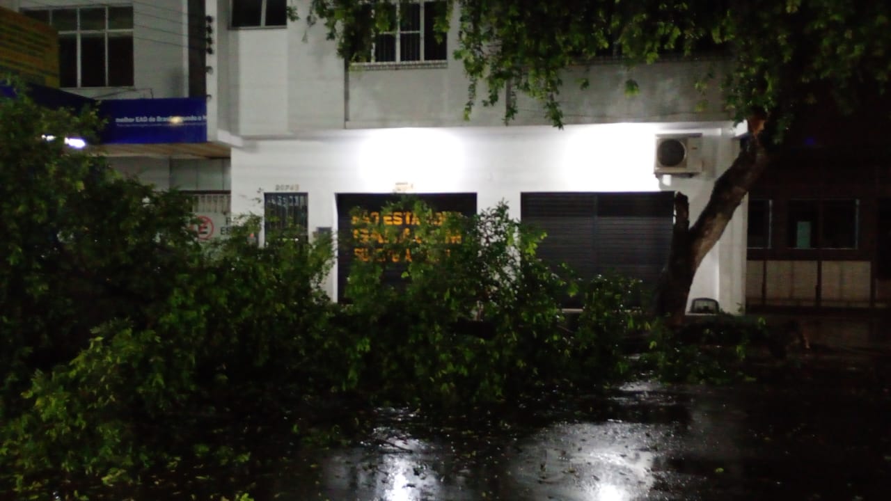 Foto: Divulga&ccedil;&atilde;o