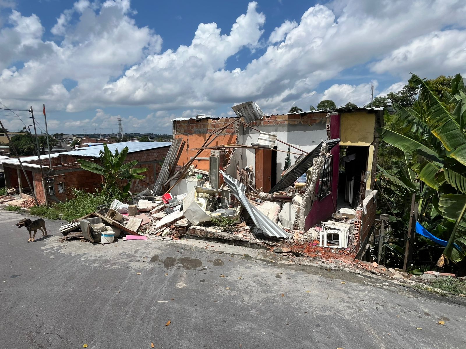 Foto: Jander Robson/Portal do Holanda