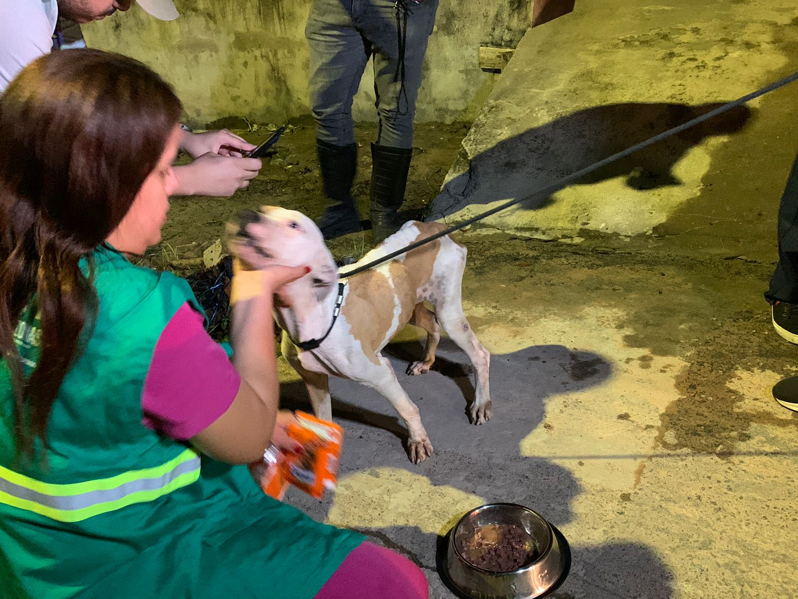 Foto: Caio Guarlotte / Portal do Holanda