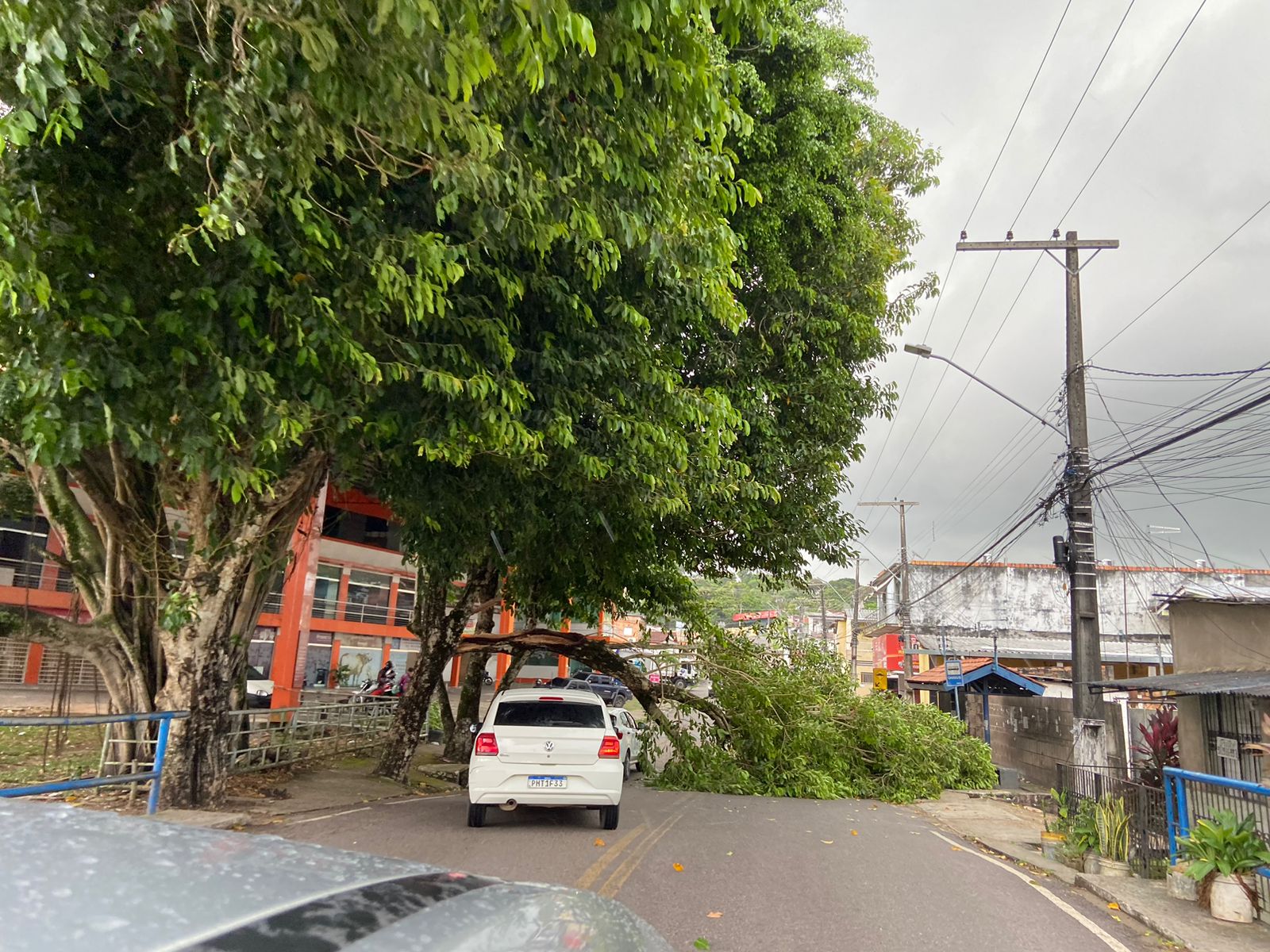 Foto: Portal do Holanda