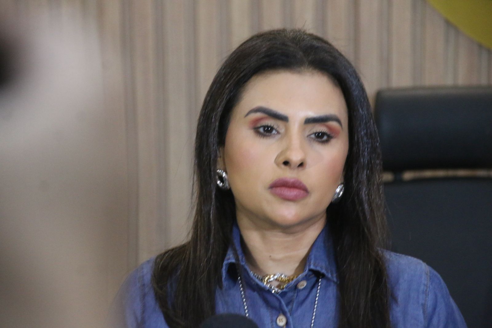 Juliana Tuma, delegada - Foto: Jander Robson/Portal do Holanda