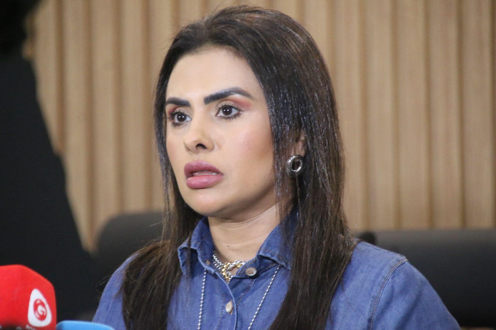 Delegada da Depca, Juliana Tuma - Foto: Jander Robson/Portal do Holanda