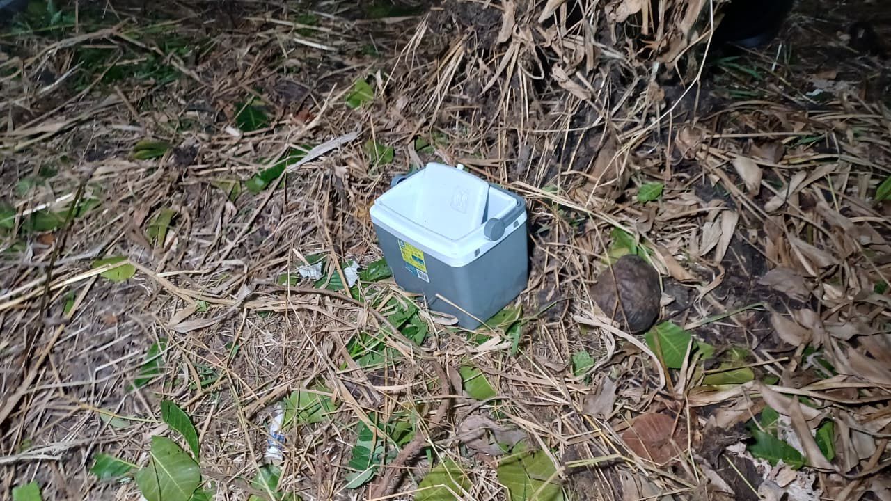 Foto: Caio Guarlotte / Portal do Holanda