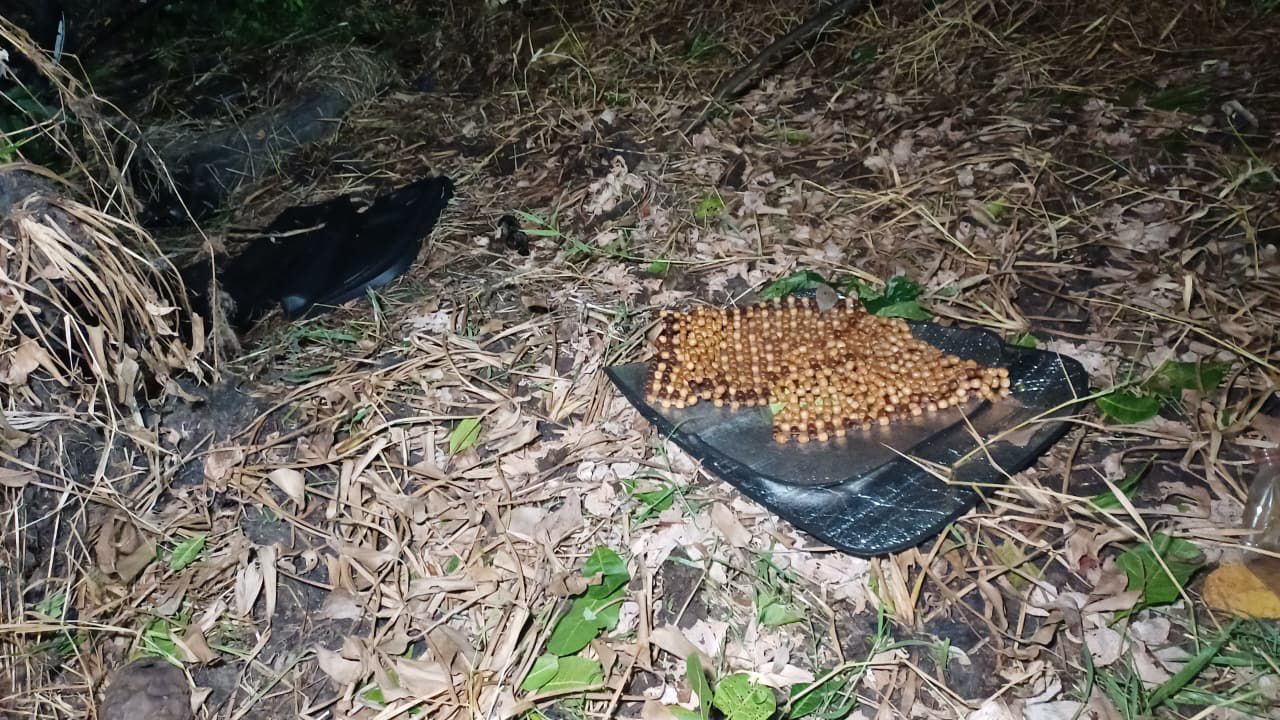 Foto: Caio Guarlotte / Portal do Holanda