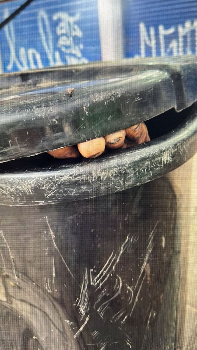 P&eacute;s chamaram a aten&ccedil;&atilde;o de populares - Foto: Divulga&ccedil;&atilde;o