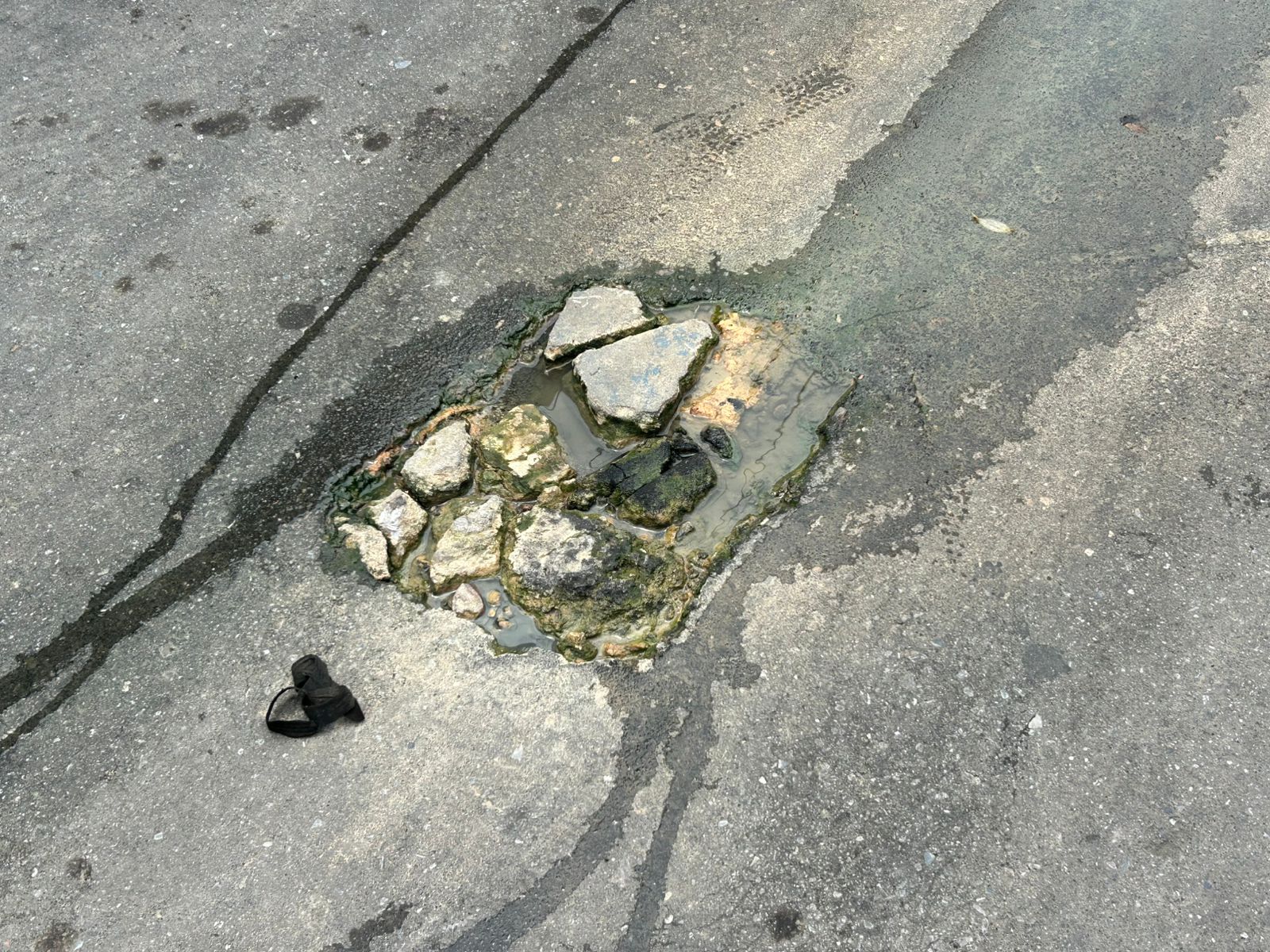 Foto: Jander Robson / Portal do Holanda