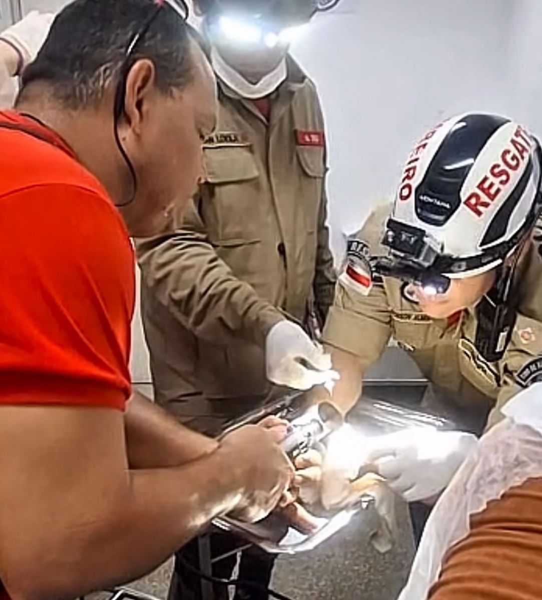 Foto: Reprodu&ccedil;&atilde;o/CBMAM