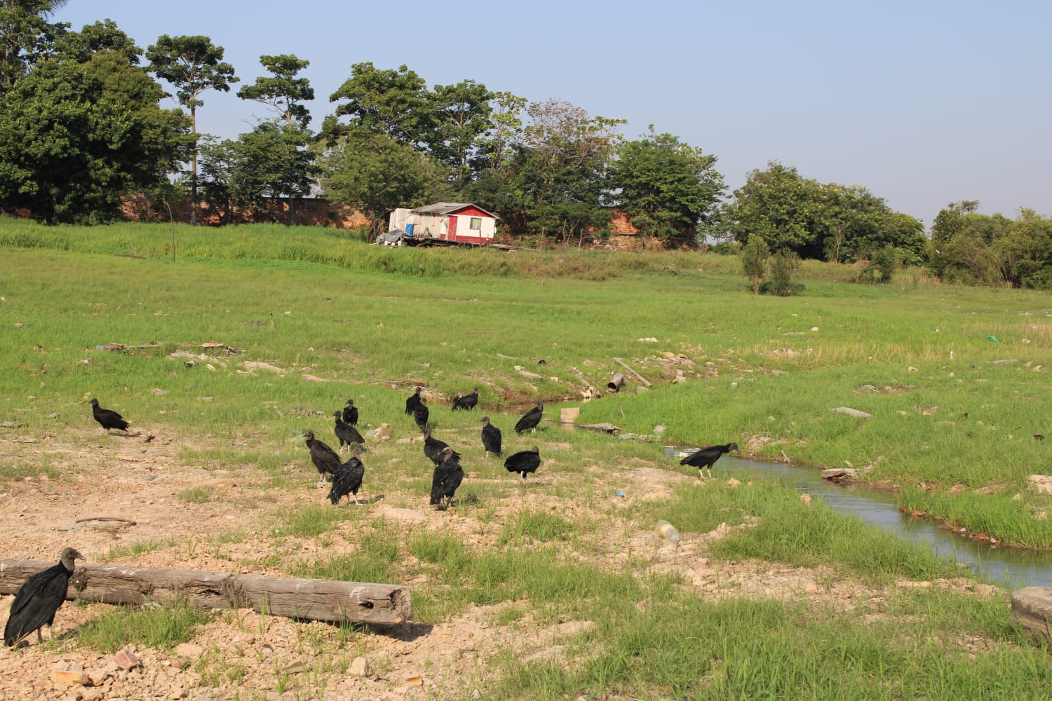 Foto: Ronaldo Siqueira / Portal do Holanda