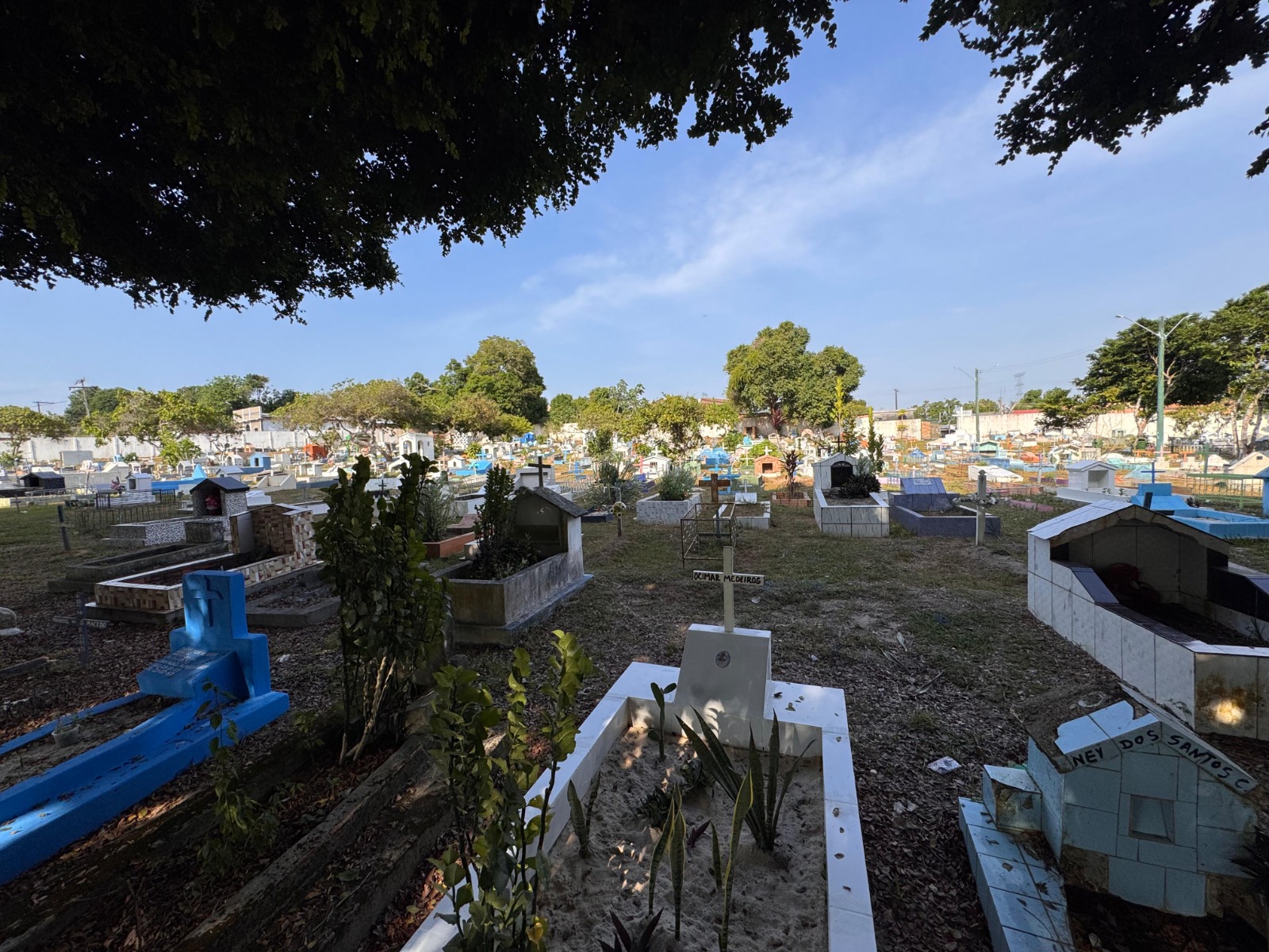 Foto: Divulga&ccedil;&atilde;o/Semulsp 