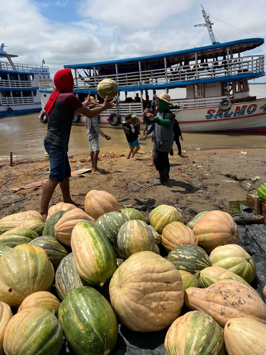 Entrega de alimentos - Foto: Divulga&ccedil;&atilde;o 