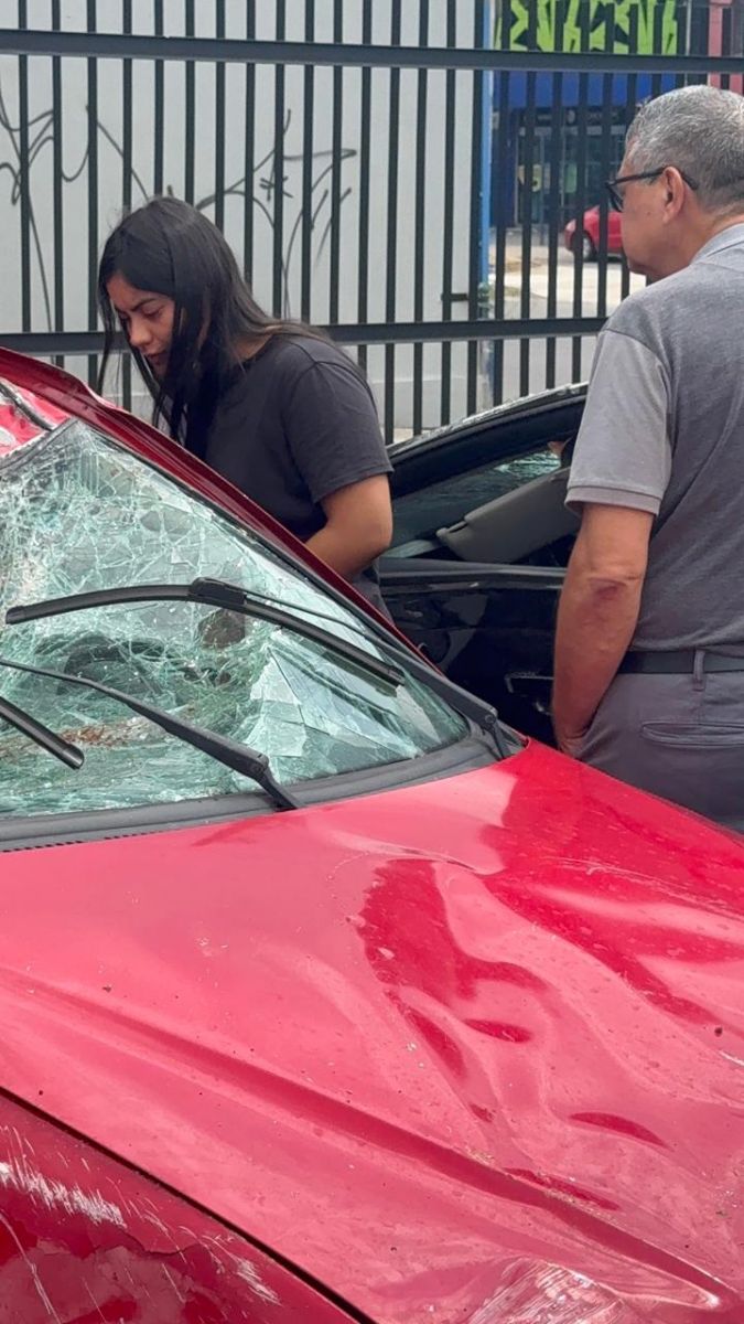 Condutora do Siena - Foto: Neto Silva/Portal do Holanda