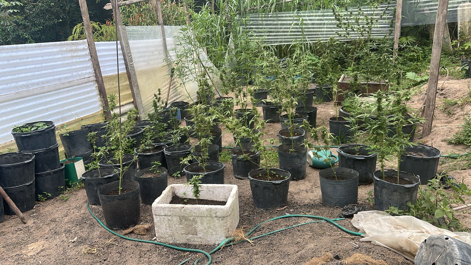 Foto: Divulga&ccedil;&atilde;o