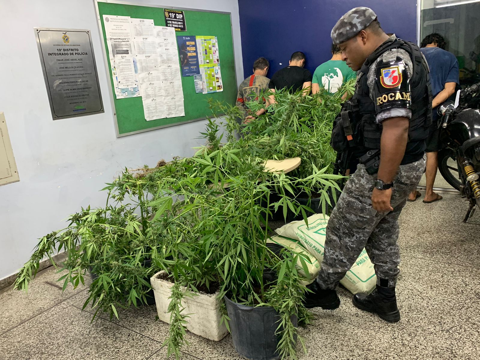 Foto: Caio Guarlotte / Portal do Holanda