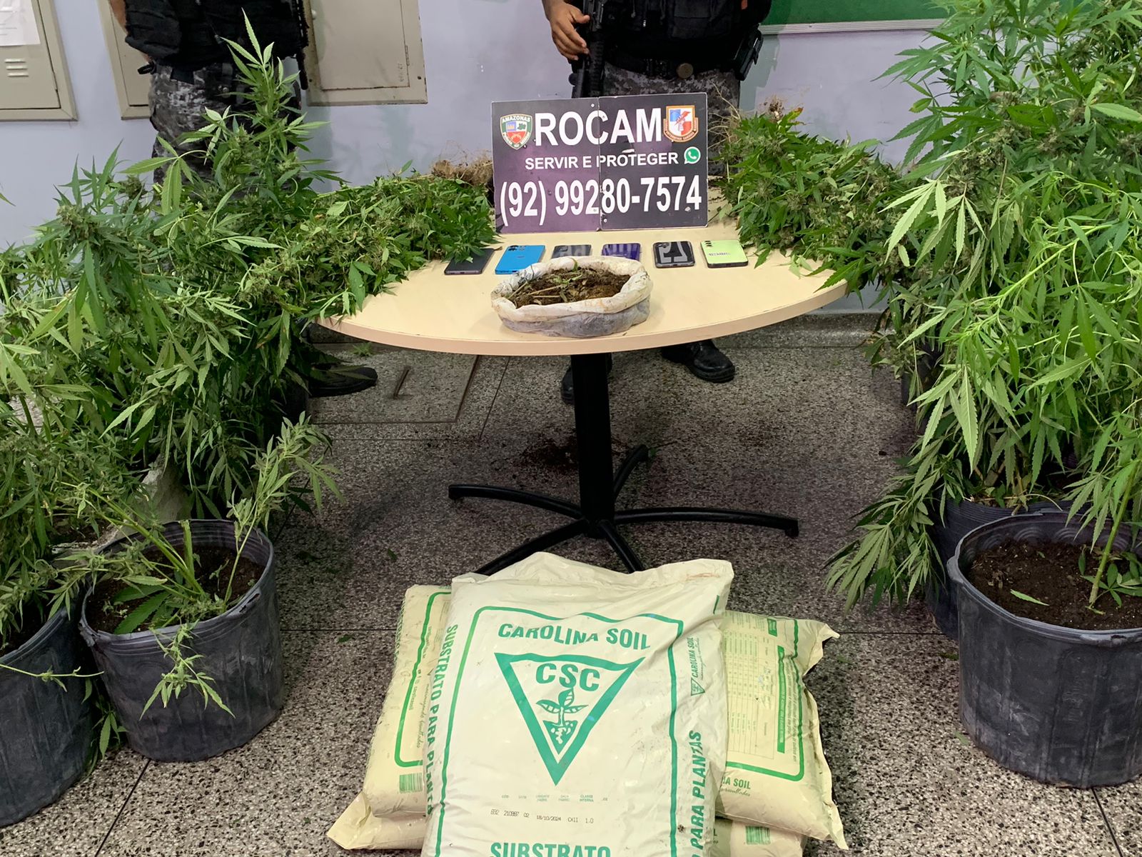 Foto: Caio Guarlotte / Portal do Holanda