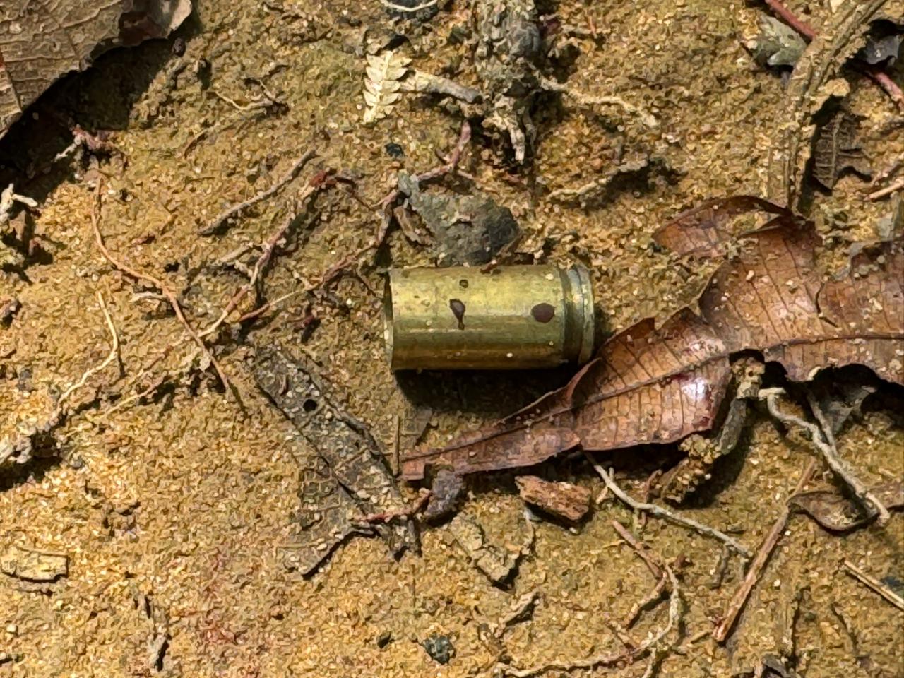 Foto: Neto Silva/Portal do Holanda