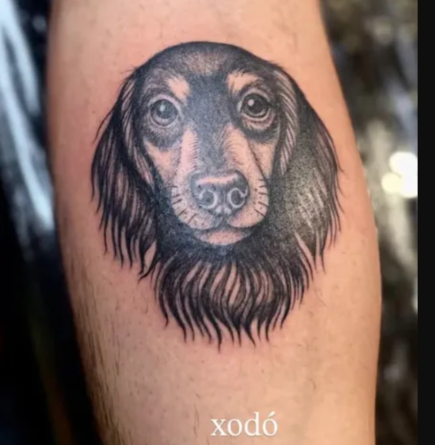 Foto: Reprodu&ccedil;&atilde;o Instagram