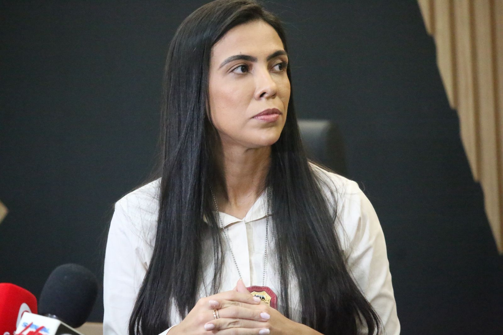 Delegada revela que v&iacute;tima foi abusada mais de uma vez - Foto: Jander Robson/Portal do Holanda