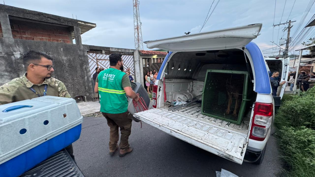 Animais resgatados - Foto: Divulga&ccedil;&atilde;o