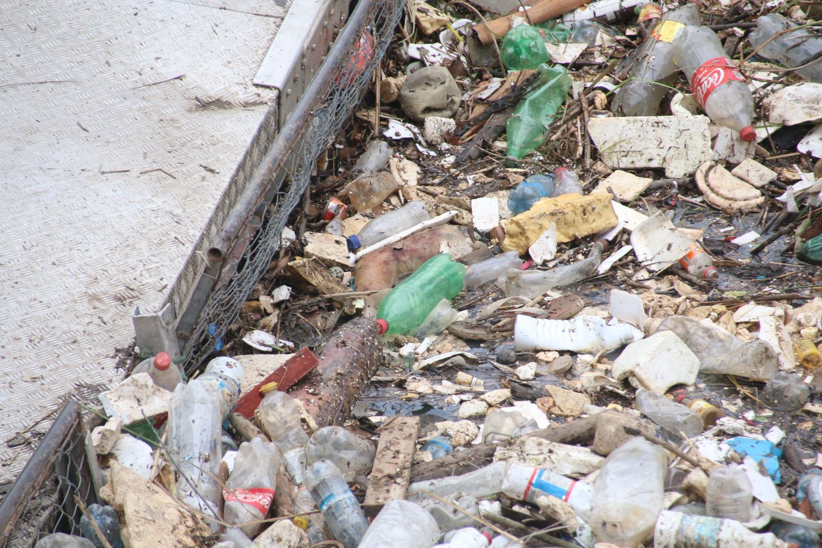Bra&ccedil;o humano &eacute; encontrado em meio ao lixo - Foto: Jander Robson/Portal do Holanda