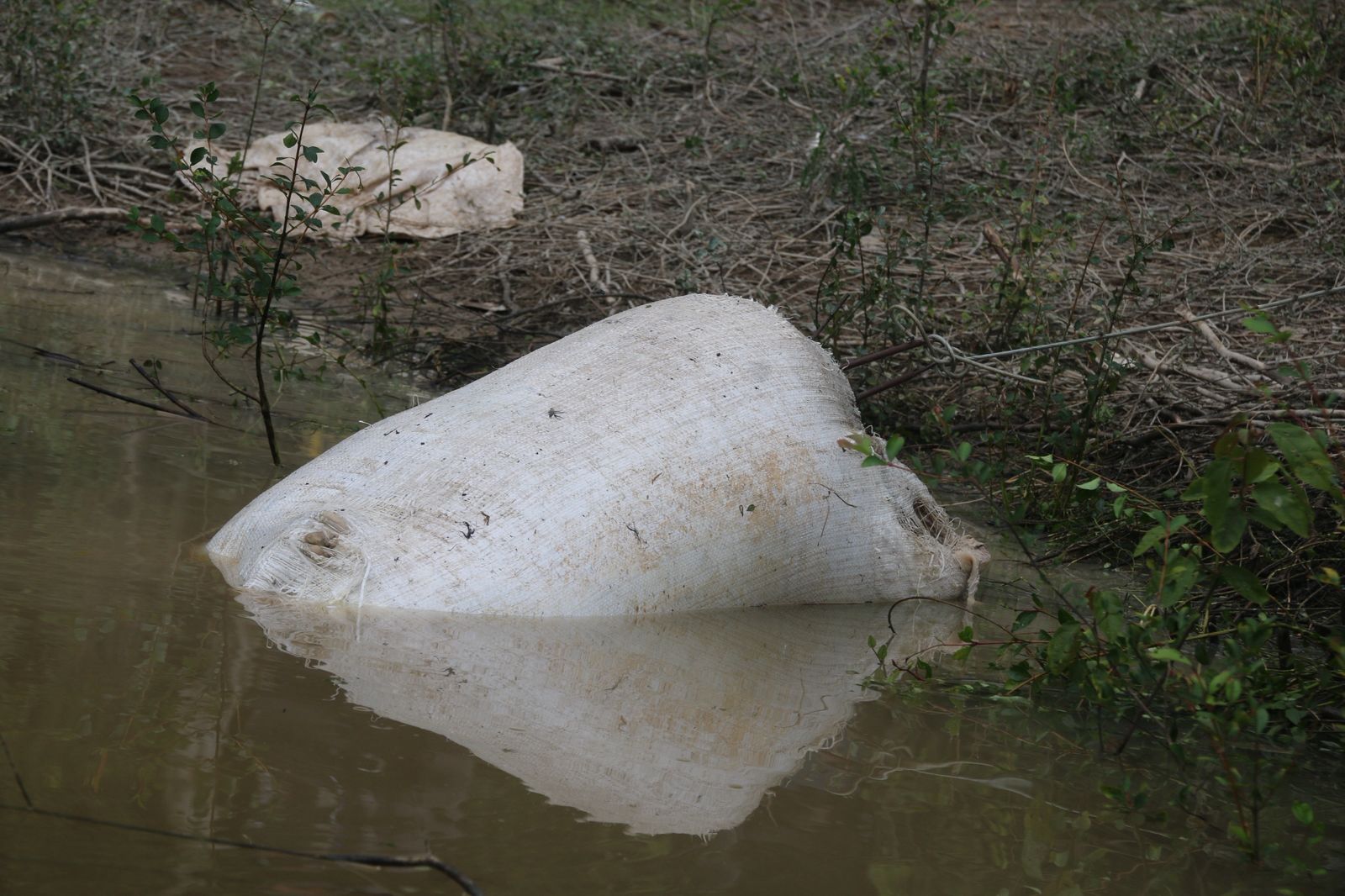 Foto: Jander Robson / Portal do Holanda