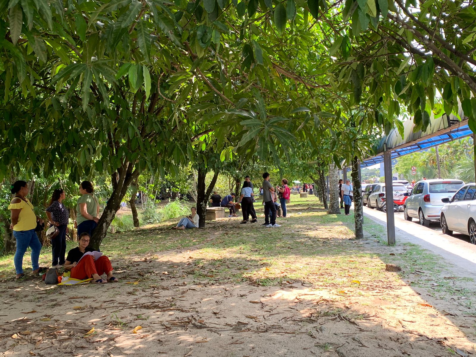 Foto: Caio Guarlotte/Portal do Holanda