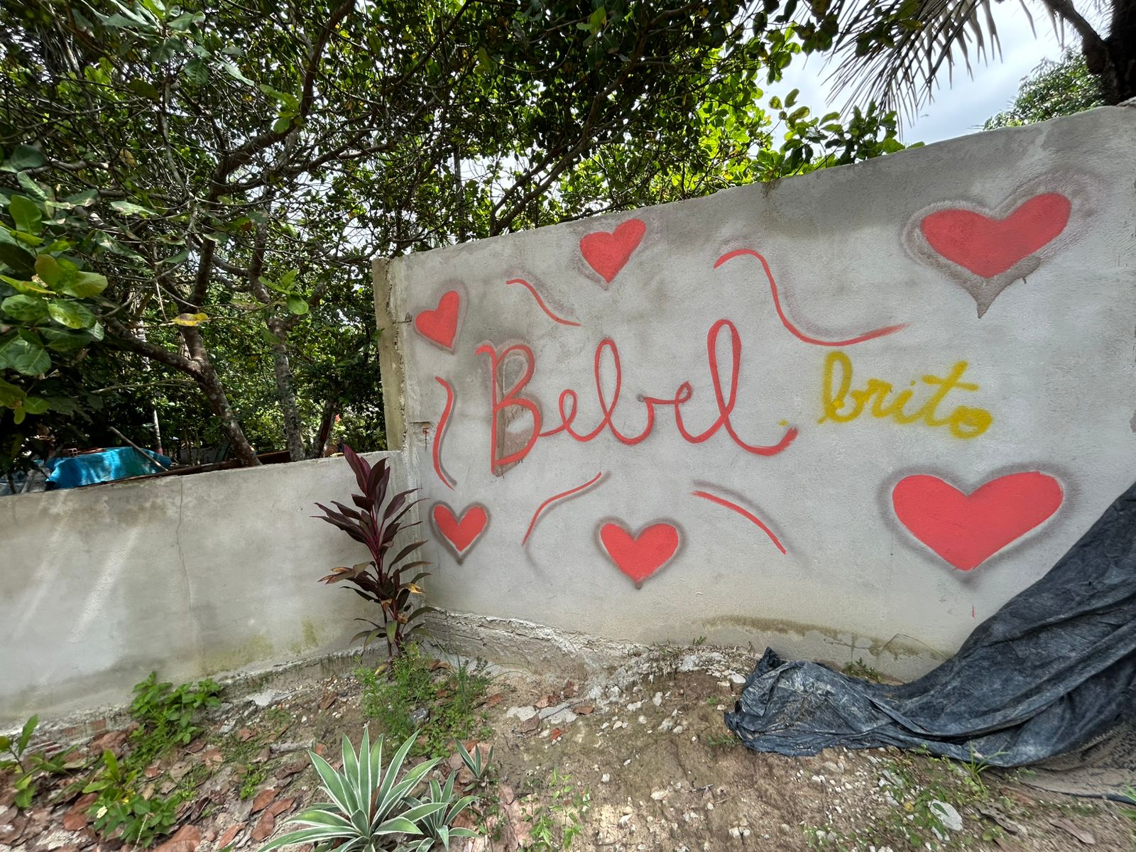 Crime ocorreu em um s&iacute;tio - Foto: Jander Robson/Portal do Holanda