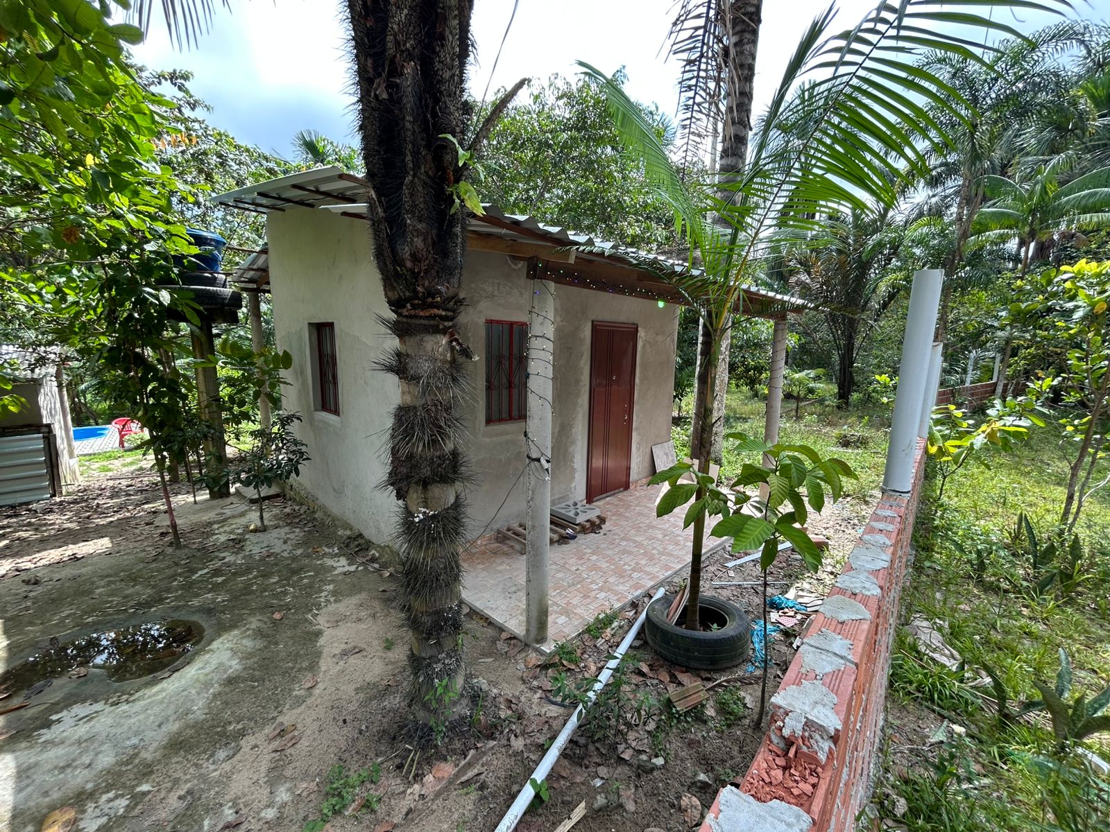 Foto: Jander Robson/Portal do Holanda