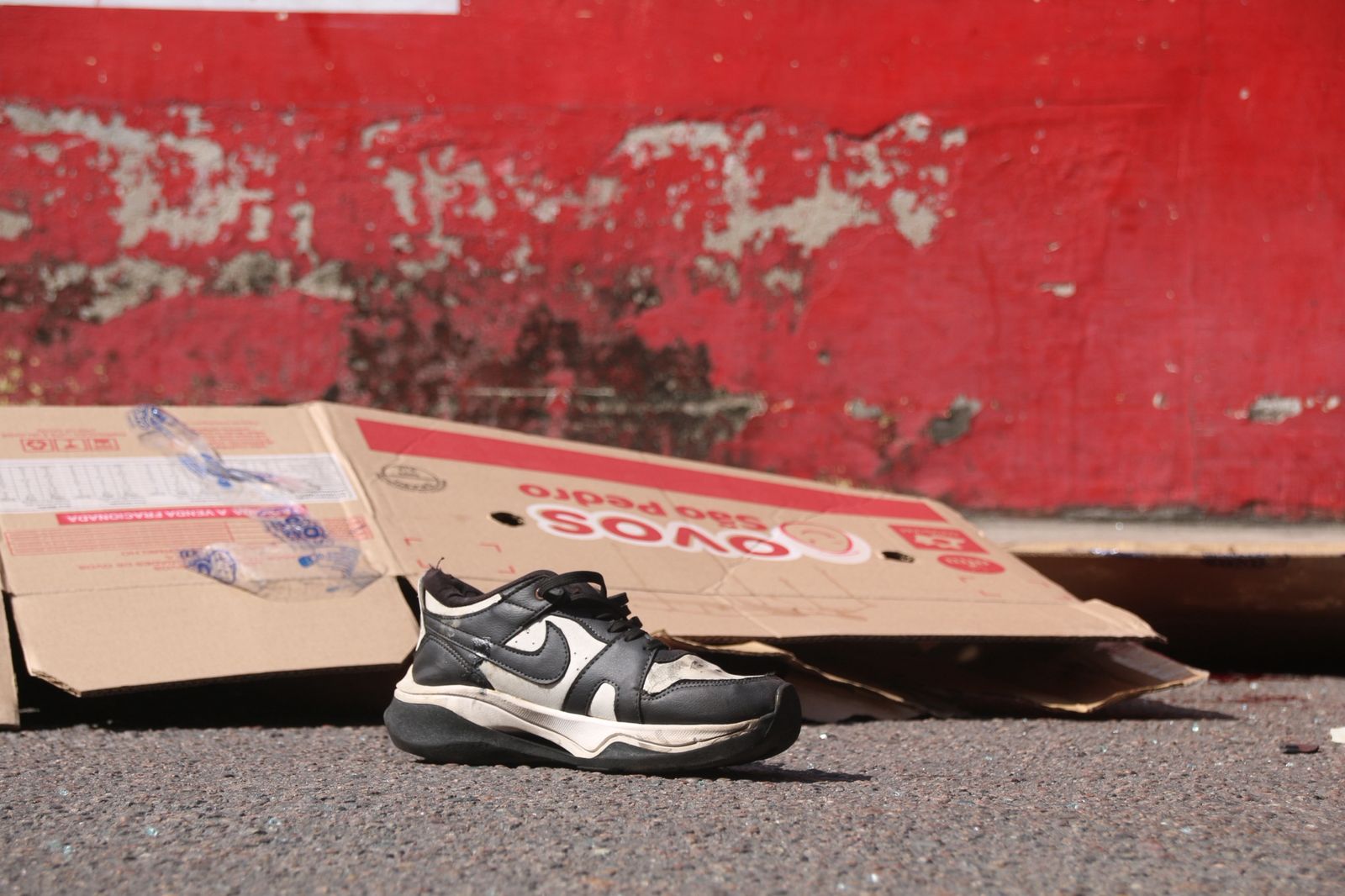 Foto: Jander Robson / Portal do Holanda