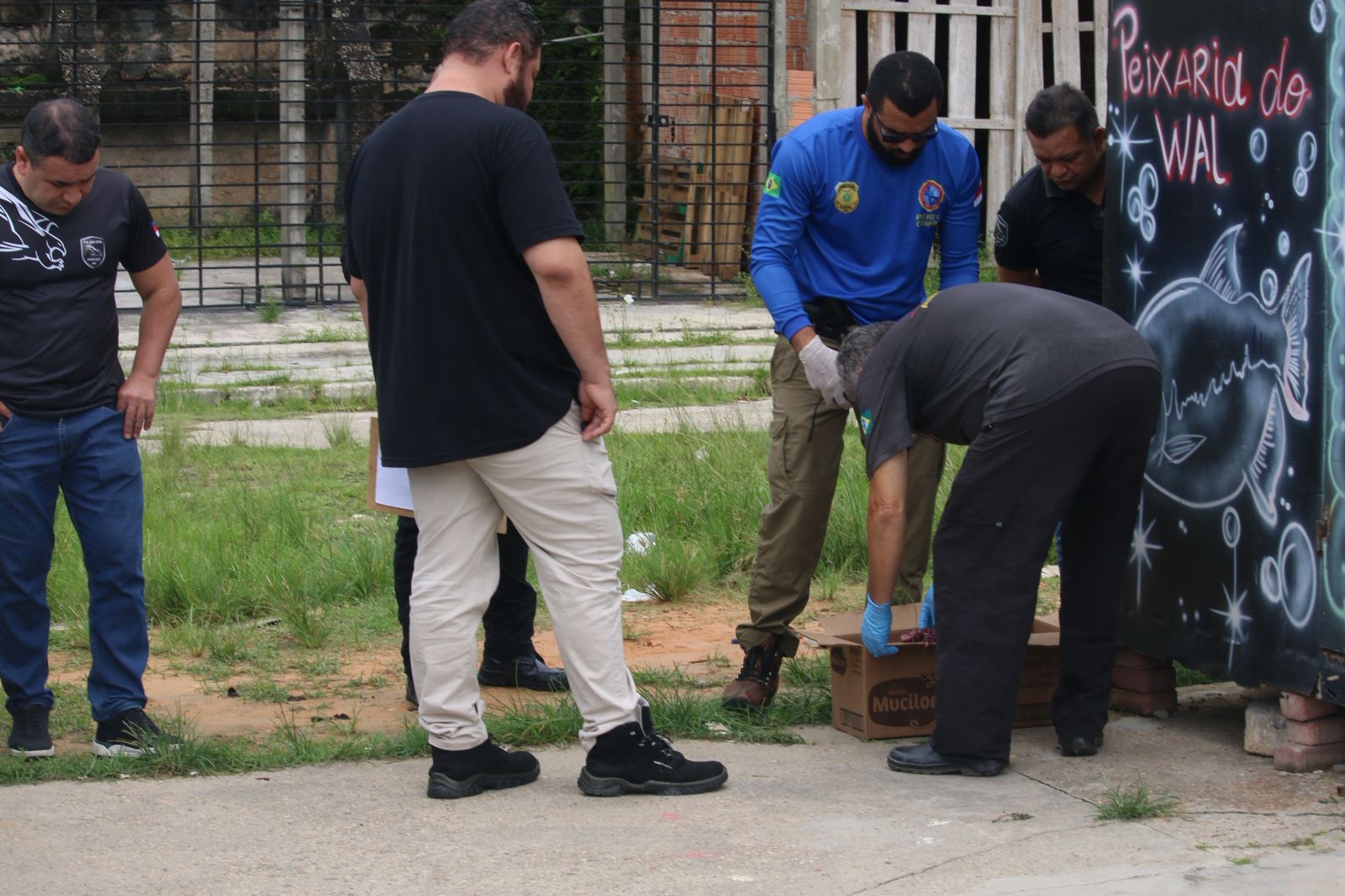 Foto: Jander Robson/Portal do Holanda