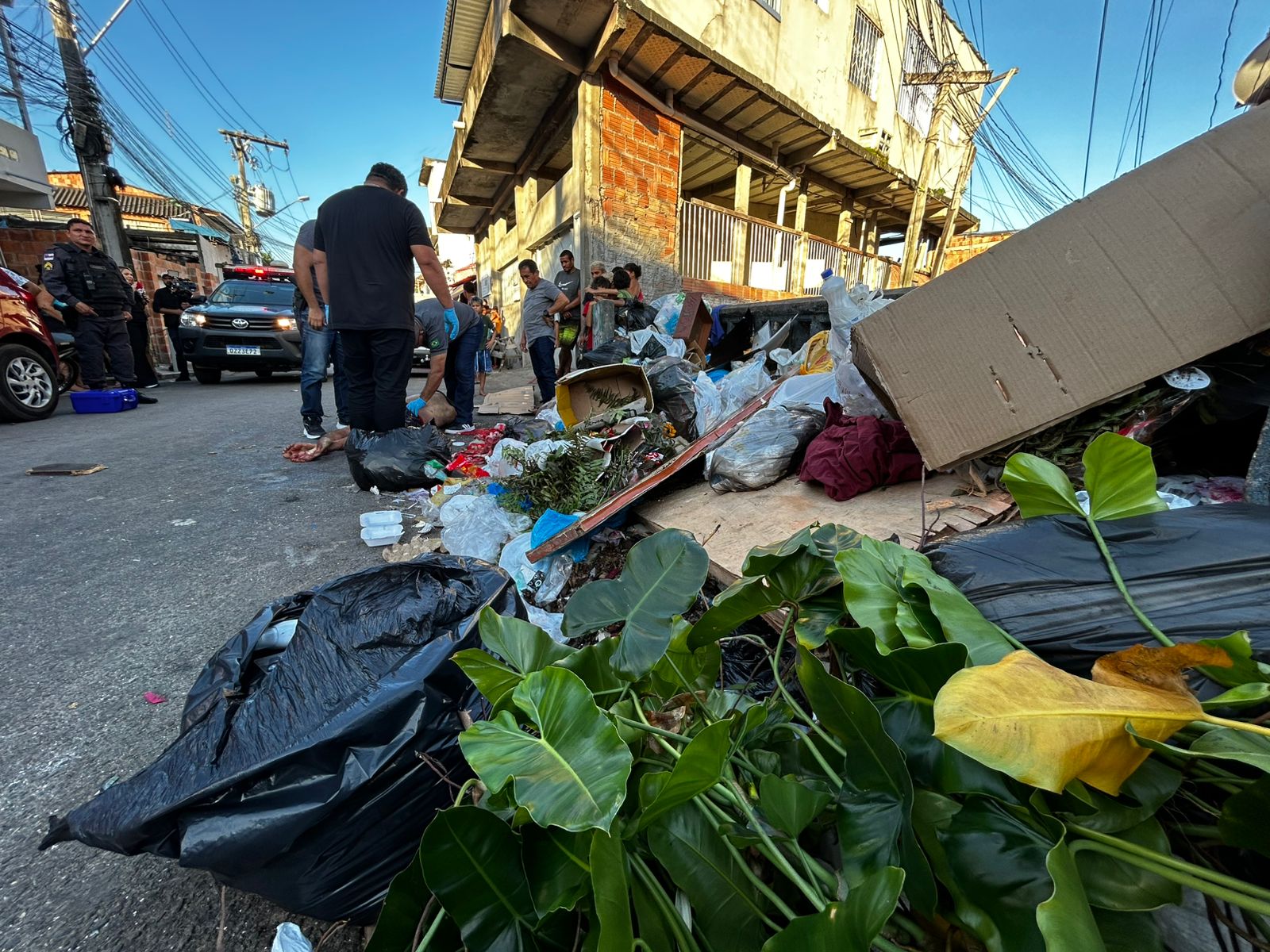 Foto: Jander Robson / Portal do Holanda