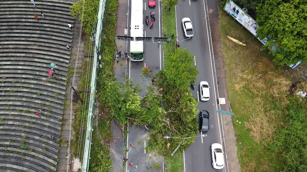 Foto: Jander Robson / Portal do Holanda