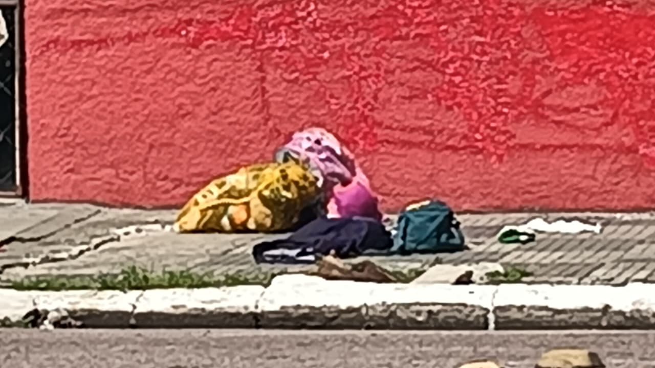 Supostos artefatos - Foto: Divulga&ccedil;&atilde;o