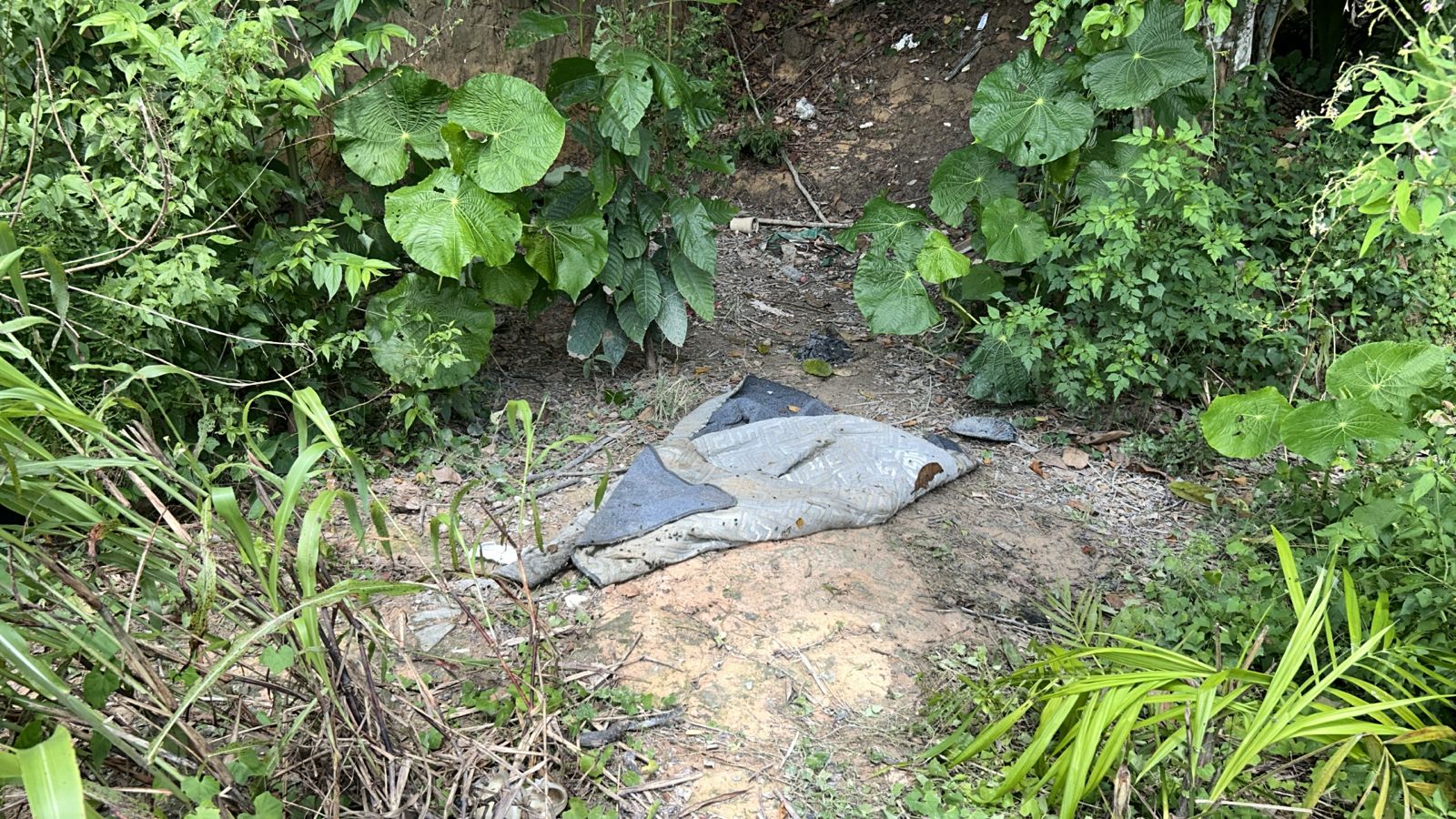 Foto: Jander Robson/Portal do Holanda